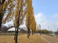 11월30일 한강&선유도공원..