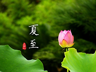 오늘이 절기상 하지(夏至)..