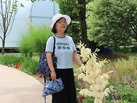 용인자작나무숲(6.21)