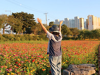 장성 황룡강 (9.15)