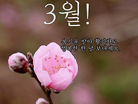 3.1절