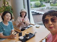동그리 정모