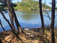 포항 지역 출조