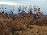 천마산~2