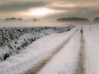 *특종포토(겨울풍경)11월..