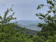 *漆谷(鹿峰精舍地)5월1일..