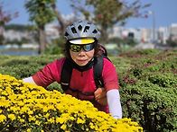 *토요~등나무(영천장~갈 ..