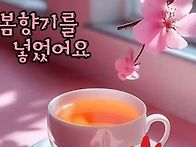 *카톡인사(김점식)5월29..