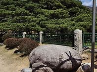 *청도(운문사)4월15일*