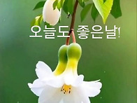 *카톡인사(김점식)9월2일..