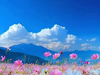 *카톡인사(거두♡김점식)..