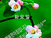 *카톡인사(거두♡김점식)..