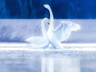 *특종포토(핀란드의 숨막히..