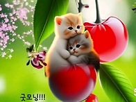 *카톡인사(거두♡김점식)..