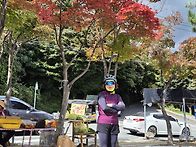 *토요~등나무(독불사~파계..