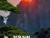 아름다운 동행~