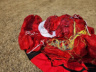 퓨즈3 A급 날개 팝니다