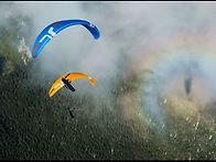 오존 알피나4GT 가격인하