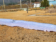 엔조3 XL 팝니다