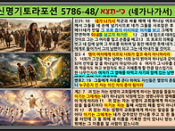 신명기토라포션 K..