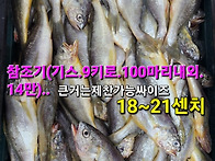 참조기, 고등어,오징어,병..