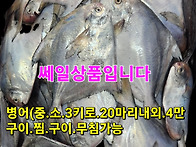 병어 먹갈치,참조기 새우젖