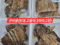 초코오징어
