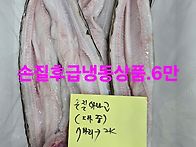 참돔