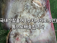 왕특대갈치,병어,아구,홍어..