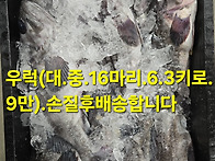 먹갈치 ,횟감생선,병어 산..