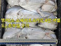 2일 3일 택배사 휴무로 특..