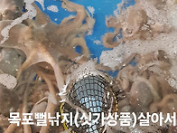 &#128032; 임여사수산..