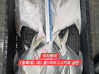 10월28일 수요일 판매 상..