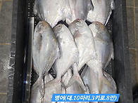 10월28일 수요일 판매 상..