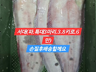 🐠7월 15일 ..