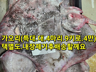 햅쌀.먹갈치.병어.참조기...