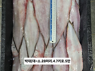 10월 6일 화요일 판매 상..