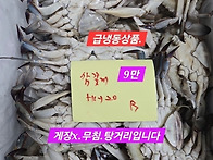 🐠8월 26일 ..