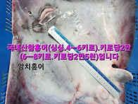 명절뒷풀이특가세일합니다