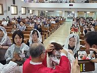 영세 축하합니다.