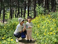 손주시호와 증산체..