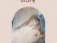 가구수리, 오크식..