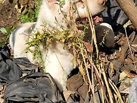 쥐와의전쟁 그리고...