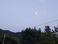 행복이 스스로 차에 못 타..