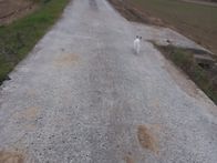 어제 멀리 들판에