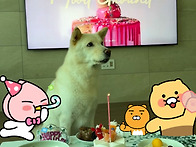 순진아 생일 축하해