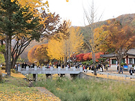 충북 제천의 배론성지에 ..