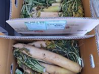 재브행님, 감사합니다