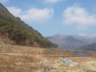 평창 시골감성과 생활 편의..