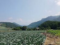 와! 말이 안 나오는 풍경!..